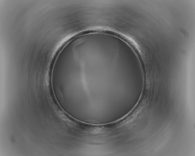 X0000113051279200909101931