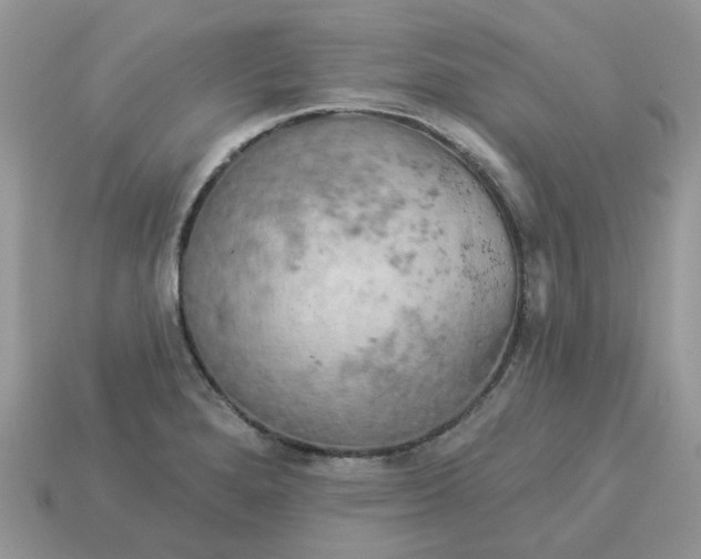 X0000113051280200909101931