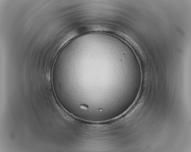 X0000113051281200909101931