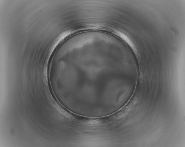 X0000113051283200909101931