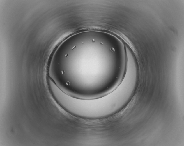 X0000113051285200909101931