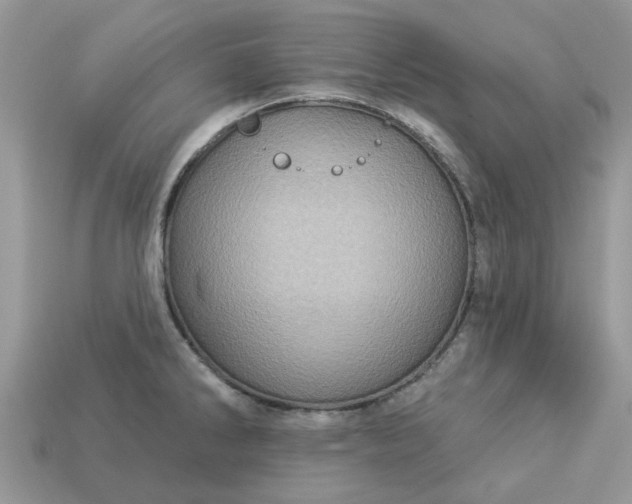 X0000113051286200909101931