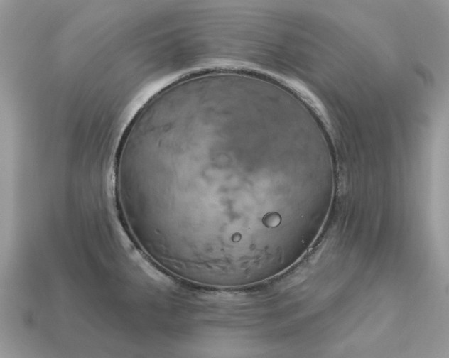 X0000113051287200909101931