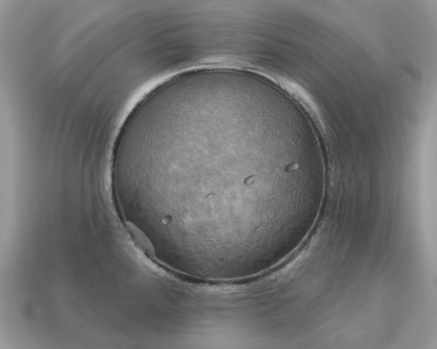 X0000113051288200909101931