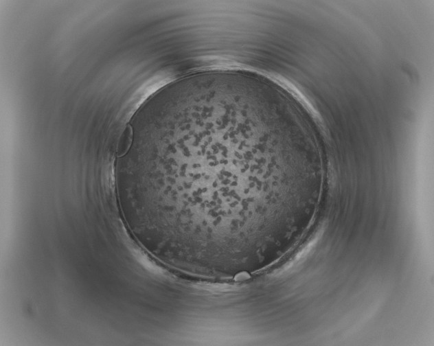 X0000113051289200909101931