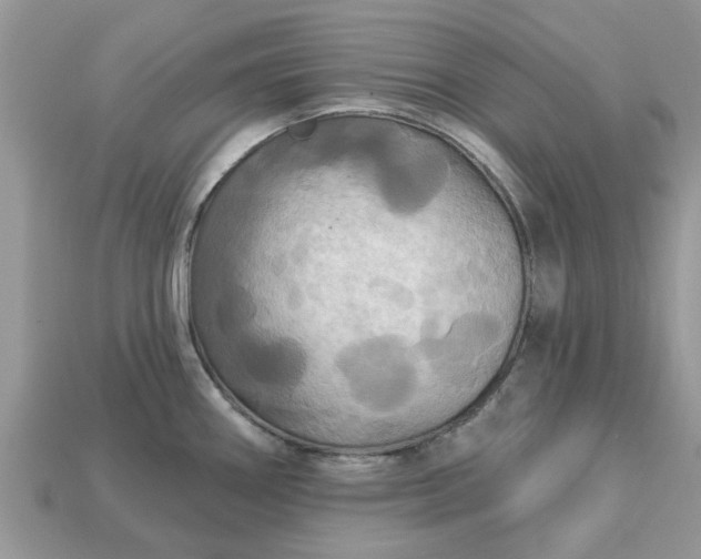 X0000113051290200909101931