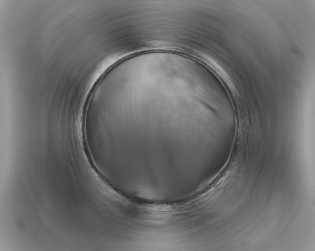 X0000113051291200909101931