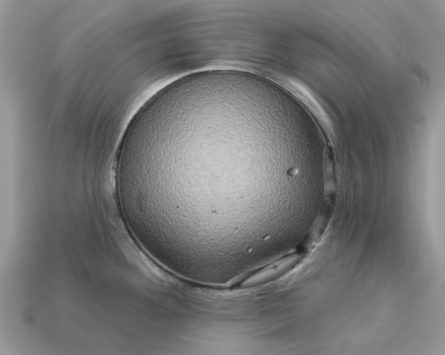 X0000113051292200909101931