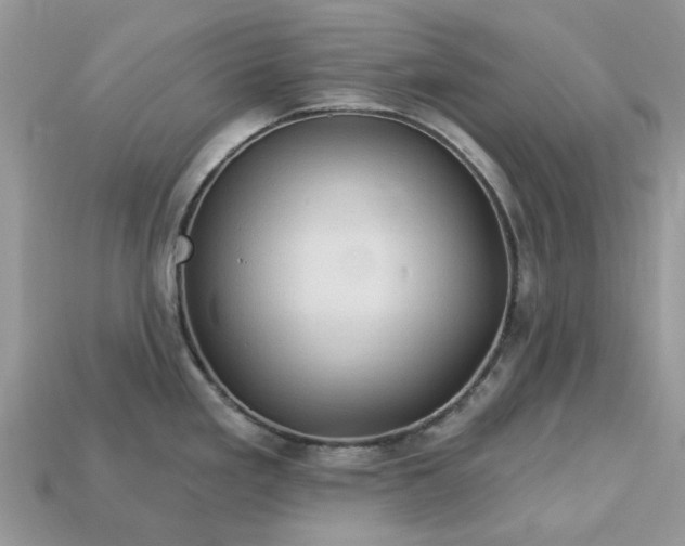 X0000113051293200909101931