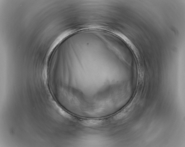 X0000113051294200909101931