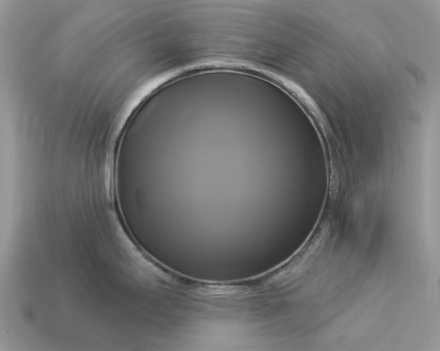 X0000113051295200909101931