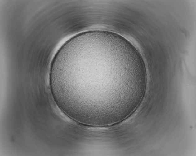 X0000113051296200909101931