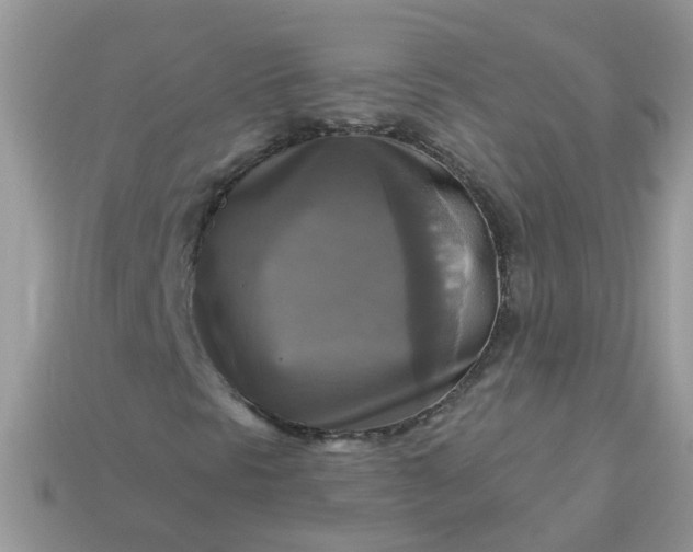 X0000113051297200909101930