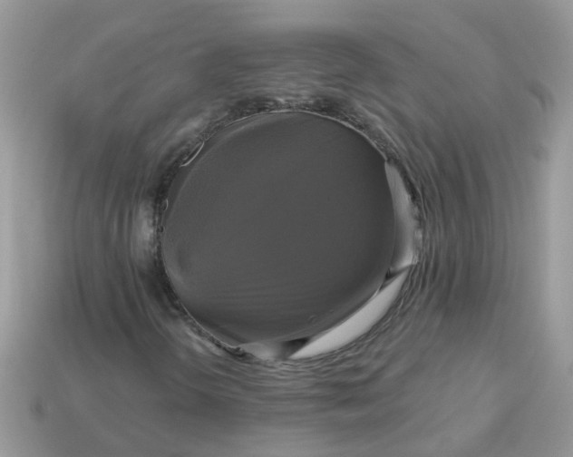 X0000113051298200909101930