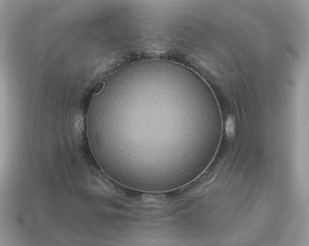 X0000113051299200909101930