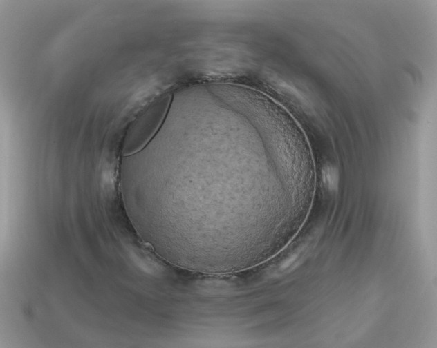 X0000113051300200909101930