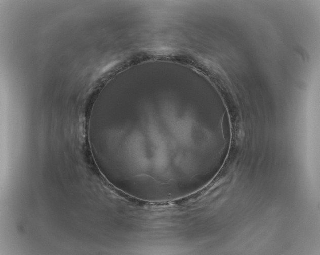 X0000113051301200909101930