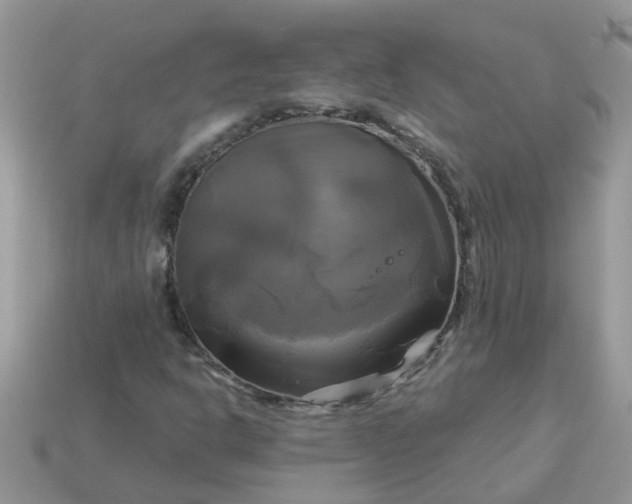 X0000113051302200909101930