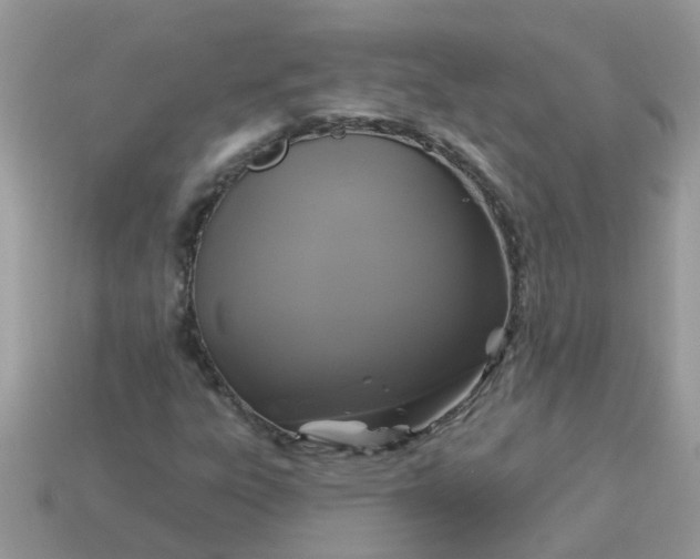 X0000113051303200909101931