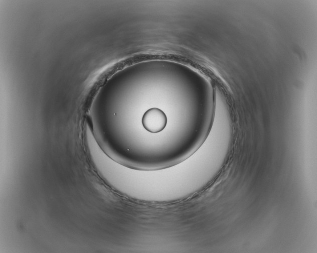 X0000113051304200909101931