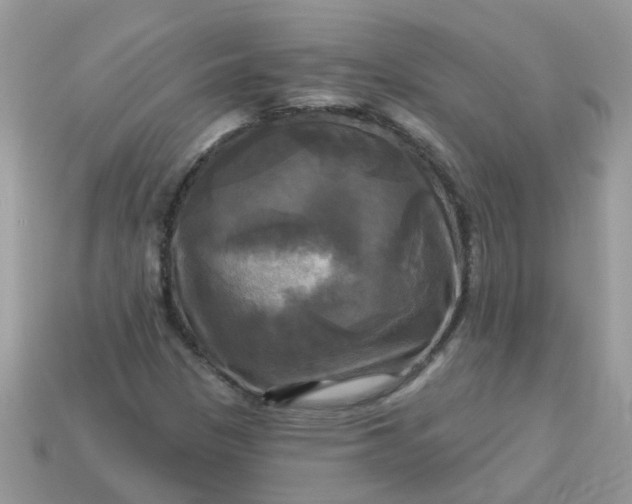 X0000113051305200909101931