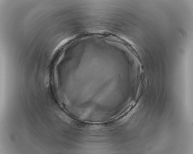 X0000113051306200909101931