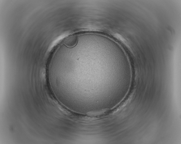 X0000113051307200909101931