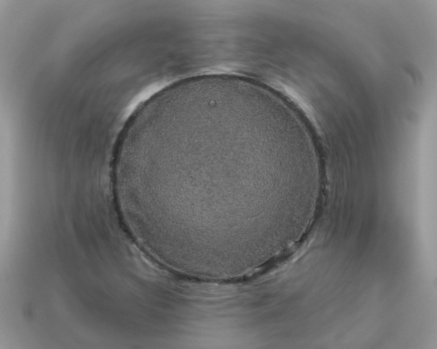 X0000113051308200909101931