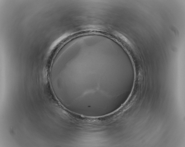 X0000113051310200909101931