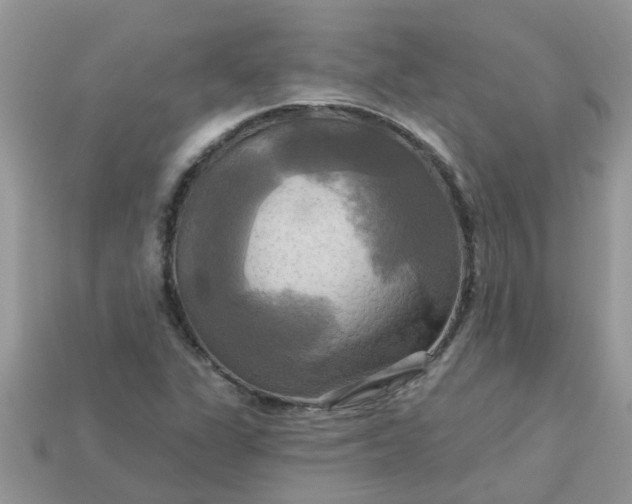 X0000113051311200909101931