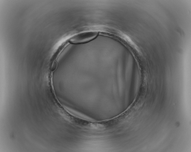 X0000113051312200909101931