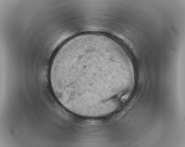 X0000113051314200909101931