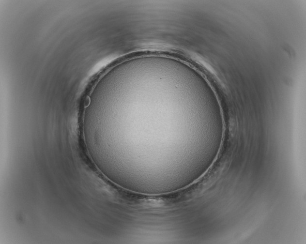 X0000113051315200909101931