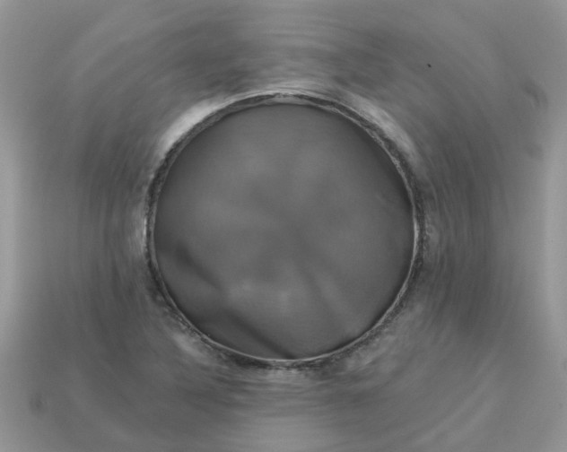 X0000113051316200909101931