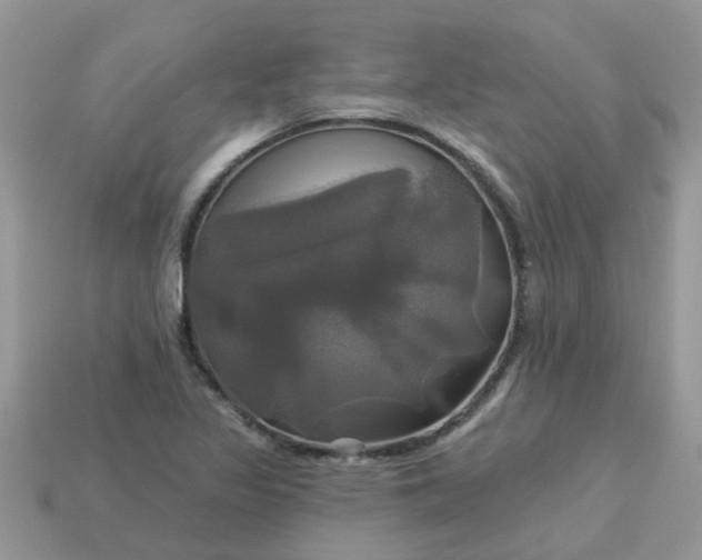 X0000113051317200909101931