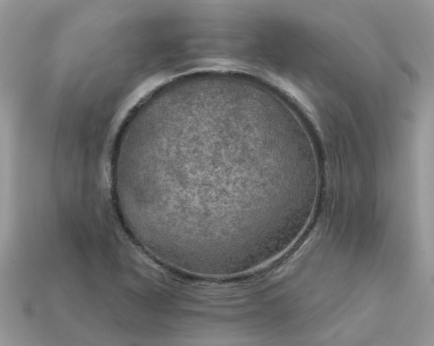 X0000113051318200909101931