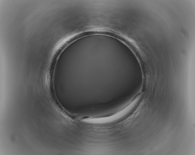 X0000113051319200909101931