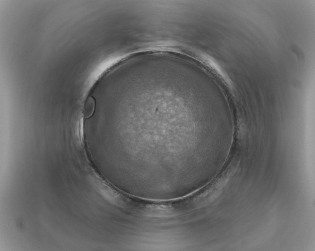 X0000113051320200909101931