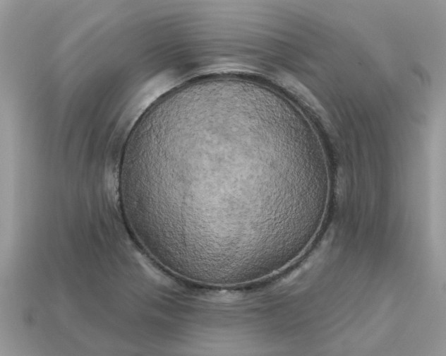 X0000113051321200909101931