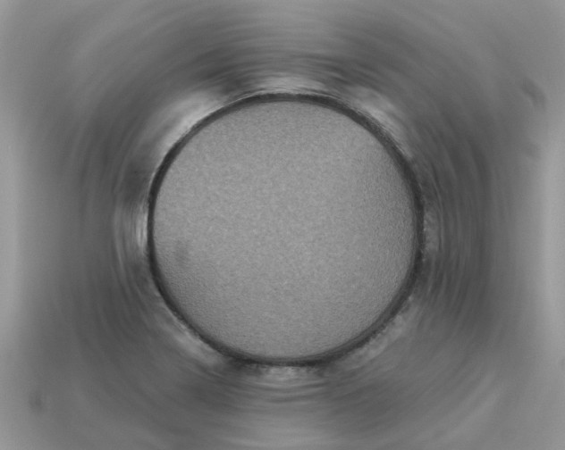 X0000113051322200909101931