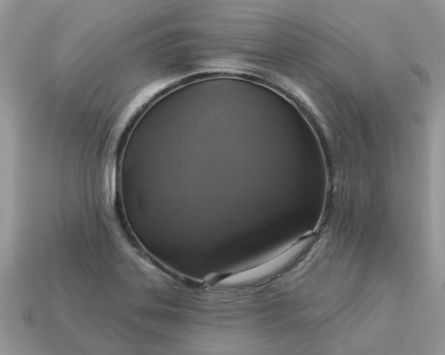 X0000113051323200909101931