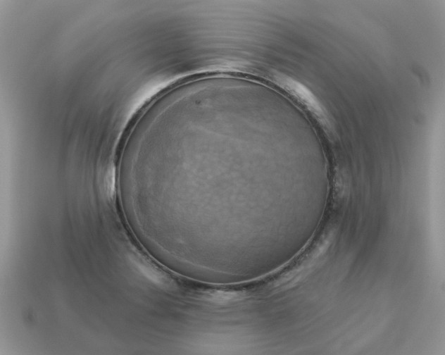 X0000113051324200909101931