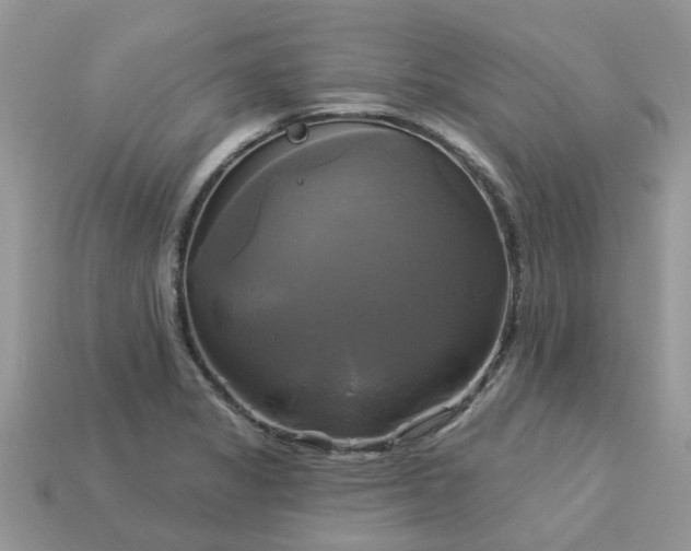 X0000113051325200909101931