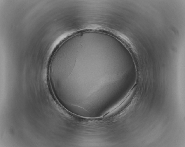 X0000113051326200909101931