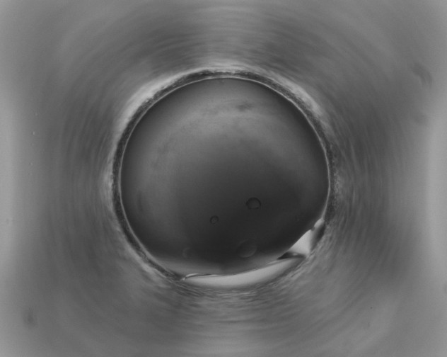 X0000113051327200909101931