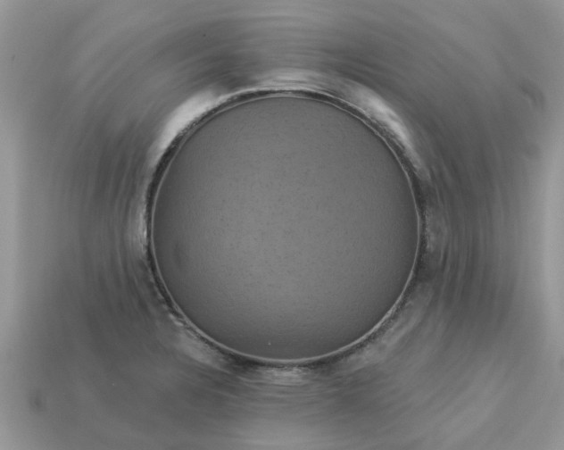 X0000113051328200909101931