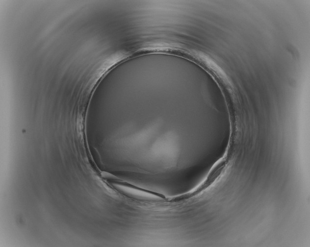 X0000113051329200909101931