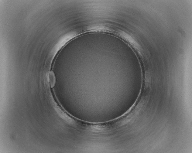 X0000113051330200909101931