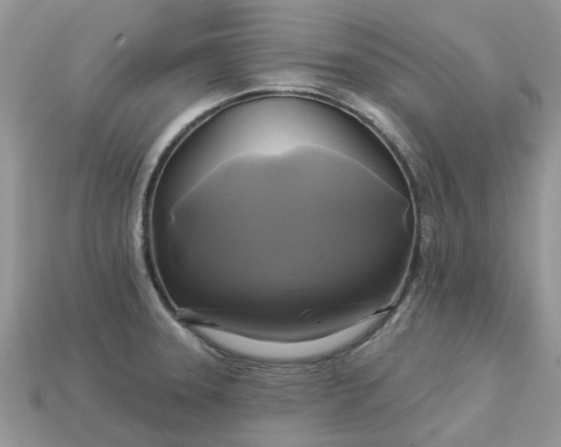 X0000113051331200909101931