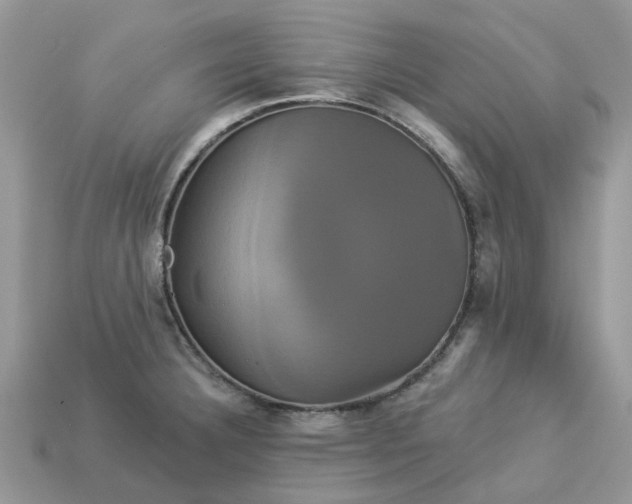 X0000113051332200909101931